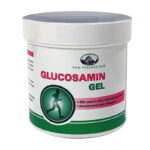 GLUKOZAMIN GEL, 250 ml