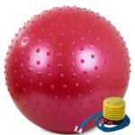 NAPIHLJIVA TELOVADNA ŽOGA, 55 cm